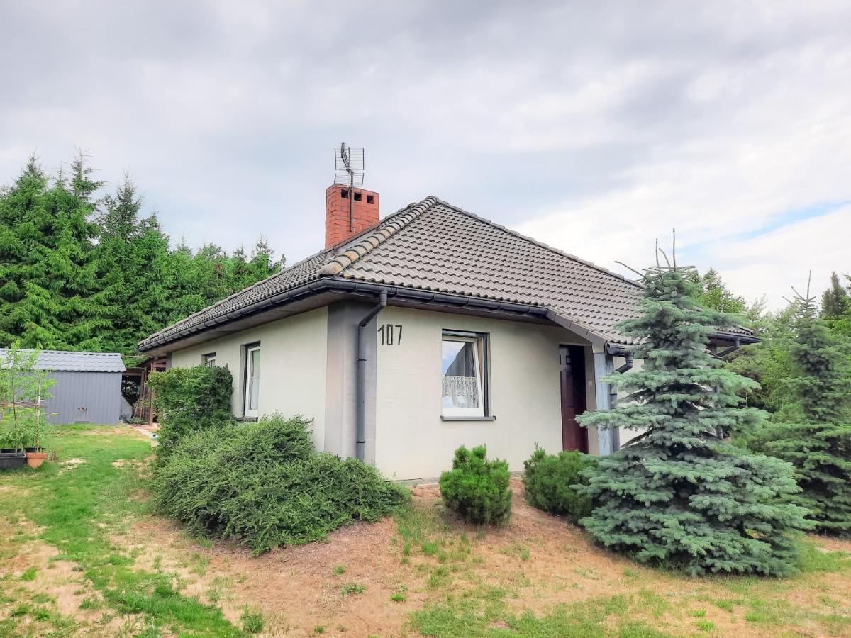 Daglezja Vip Villa Kołczewo Exterior foto